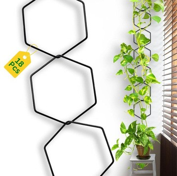 Plant Support
